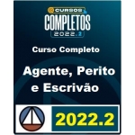 Agente, Perito e Escrivão Polícia Civil (CERS 2022.2) - Polícia Civil
